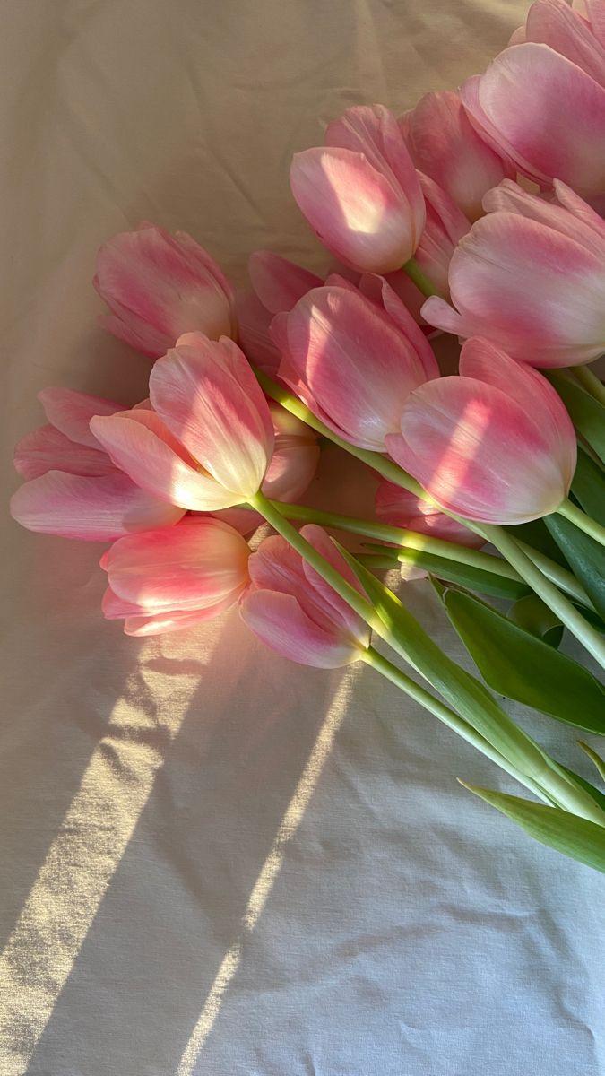 Meadow Breeze Gentle Blossom Array